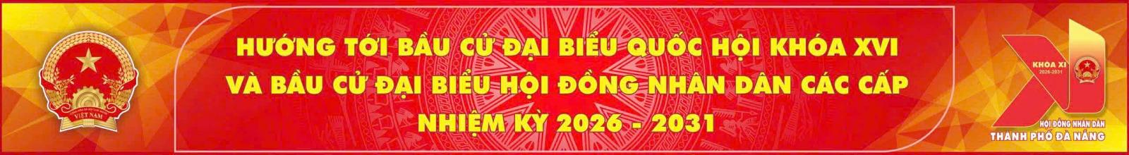 Bầu cử Đại biểu Quốc hội